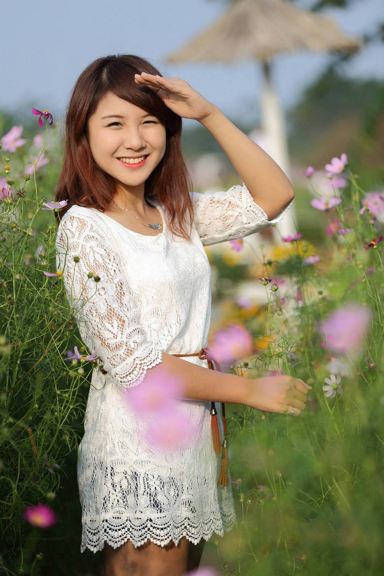 一家乱战全集免费播放